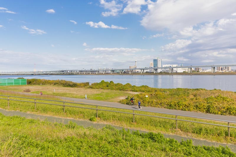 特徴1（ダミー）